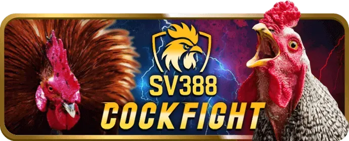 Cá cược Thể Thao tại WIN55